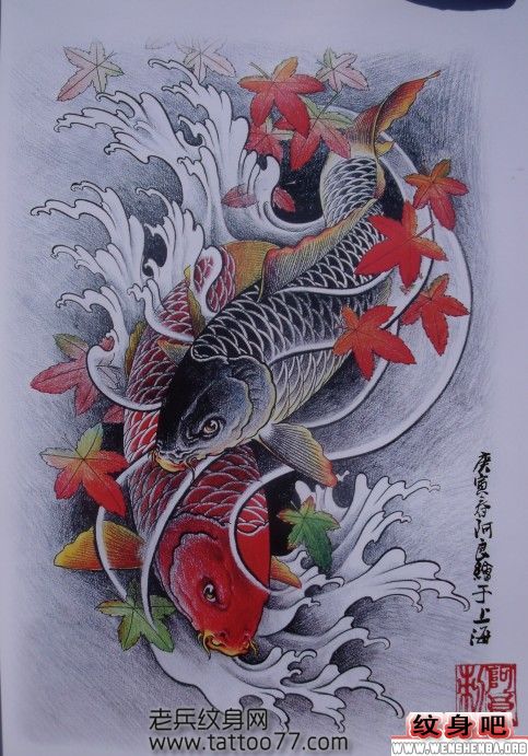 鲤鱼枫叶纹身手稿