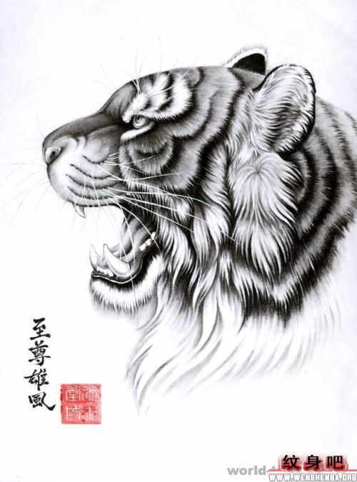 老虎纹身图片
